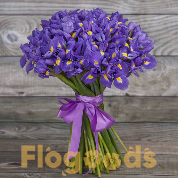 Букет «51 ирис» за 17 460 руб.